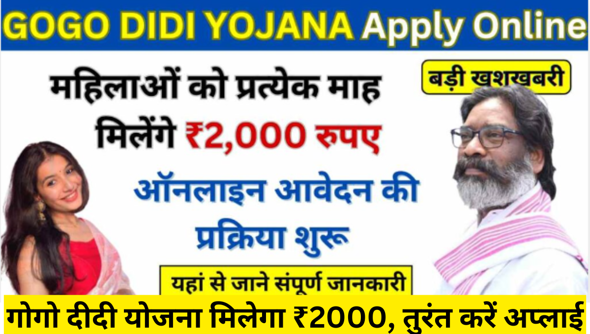 gogo Didi Yojana Online Apply